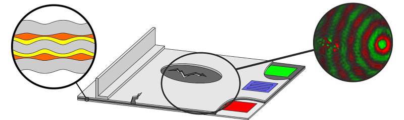 Logo of the DFG Researchunit FOR3022 of the first funding period.