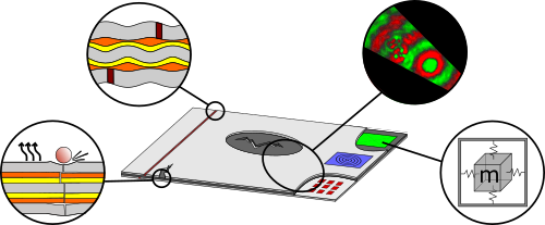 Logo of the DFG Researchunit FOR3022